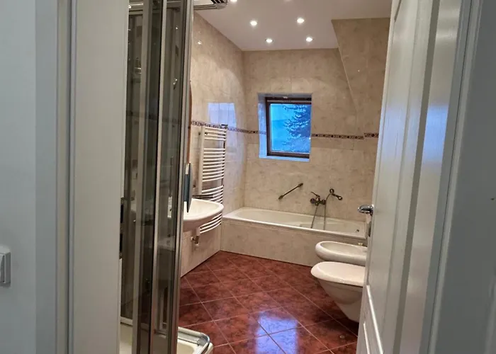 Villa Apartament Krzemienna *